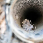 Dryer Vent Cleaning and Repairs in Stamford CT
